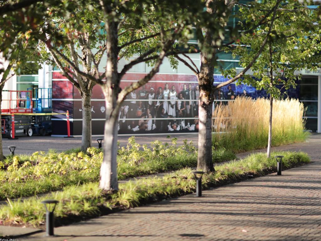 ការផ្តល់ជូននិងព្រឹត្តិការណ៍៖ ការផ្សព្វផ្សាយដែលមានប្រសិទ្ធភាព